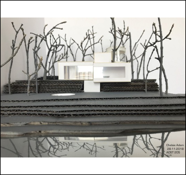 Chelsie Adam - ADST 246