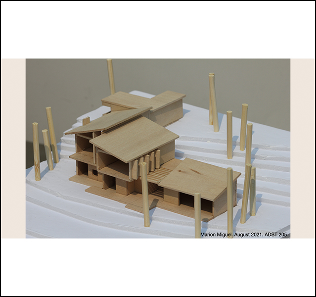 Marion Miguel - ADST 246