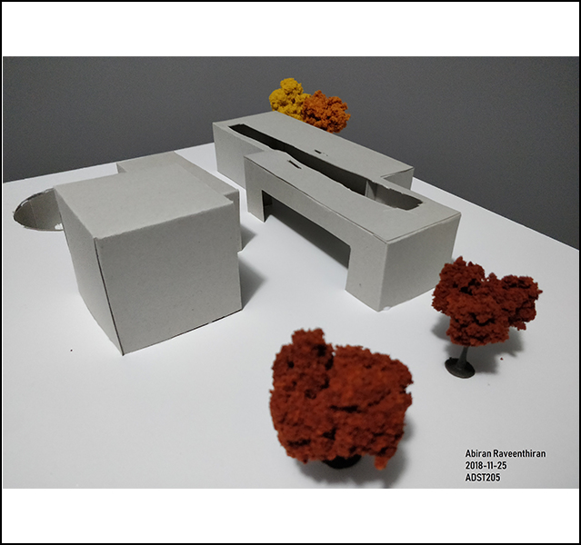 Abiran Raveenthiran - ADST 246