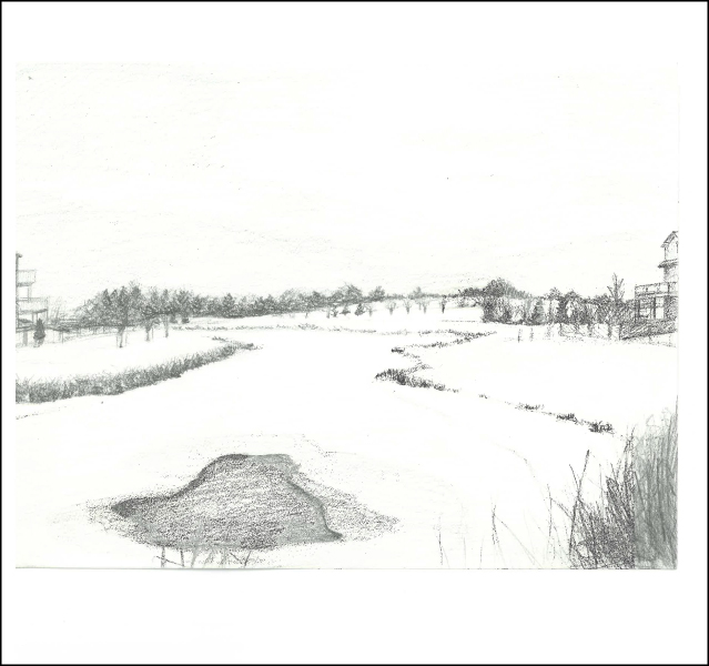 Yuyang Yan - APST 215