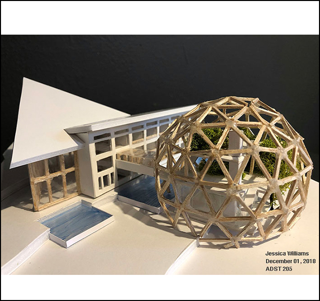 Jessica Williams - ADST 246