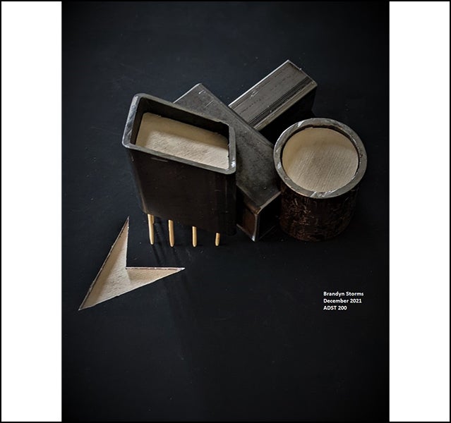 Brandyn Storms - ADST 206