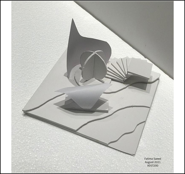 Fatima Saeed - ADST 206
