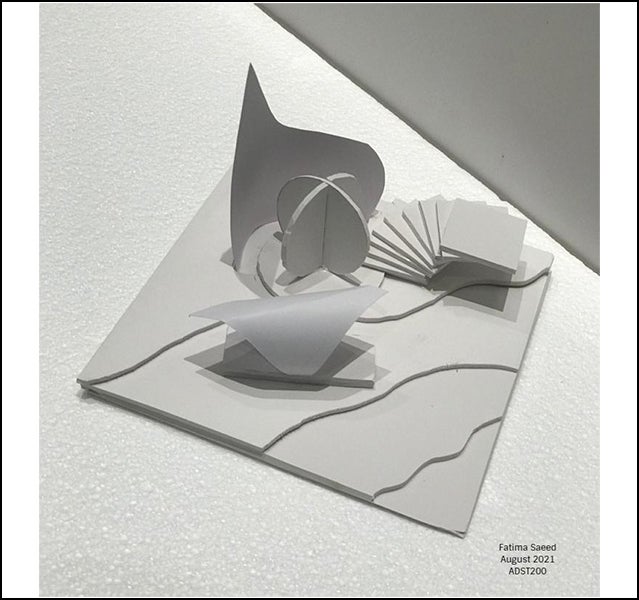 Fatima Saeed - ADST 206