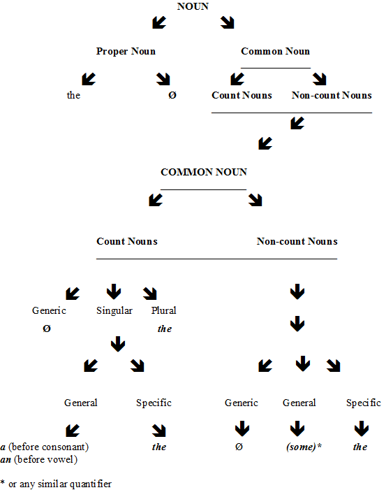 Nouns determiner diagram Noun determiner diagram