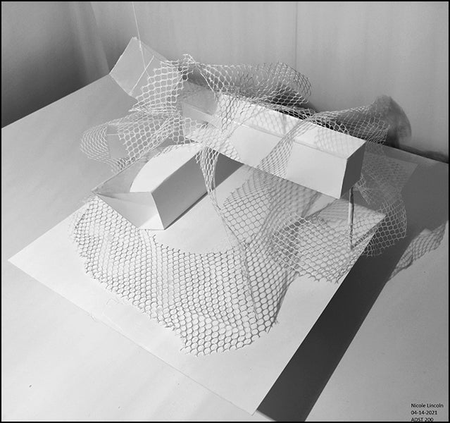 Nicole Lincoln - ADST 206