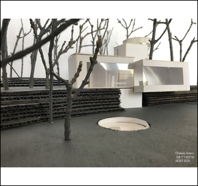 Chelsie Adam - ADST 246