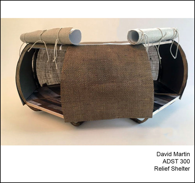 David Martin - ADST 306