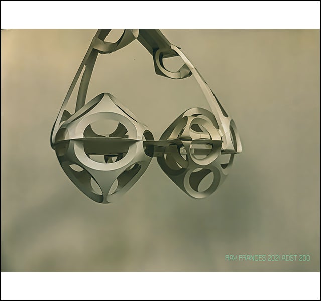 Ray Frances - ADST 206