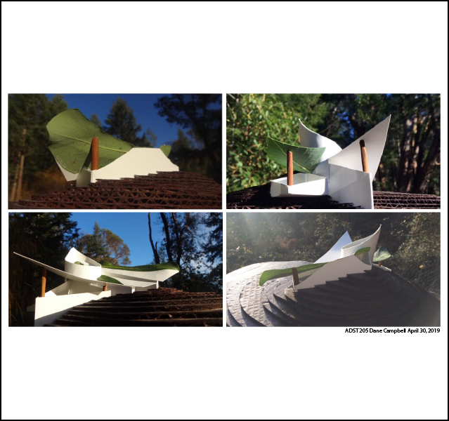 Dane Campbell - ADST 246