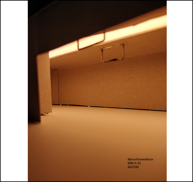 Abiran Raveenthiran - ADST 246