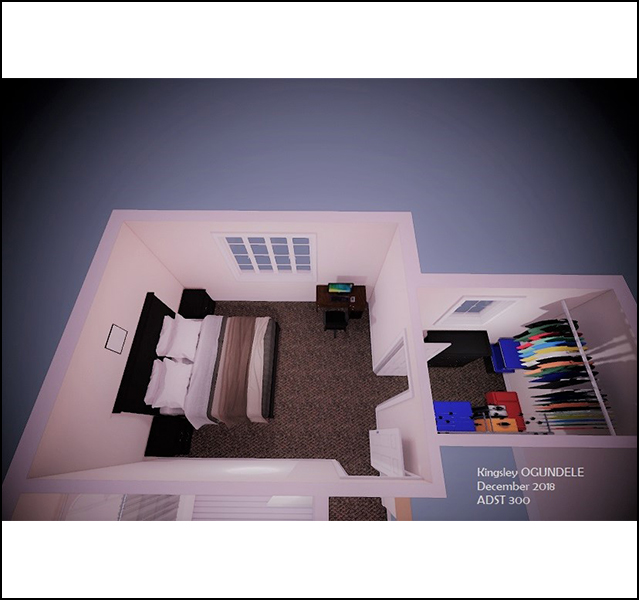 Kingsley Ogundele - ADST 306