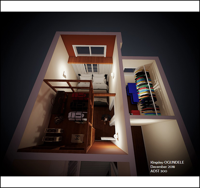 Kingsley Ogundele - ADST 306