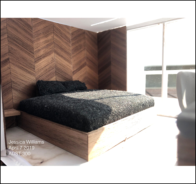 Jessica Williams - ADST 306