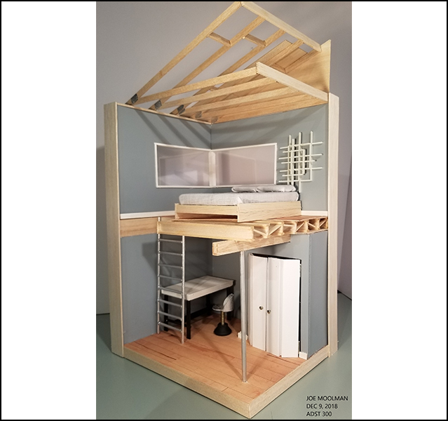 Joe Moolman - ADST 306