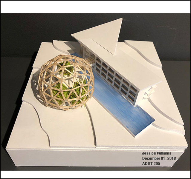 Jessica Williams - ADST 246