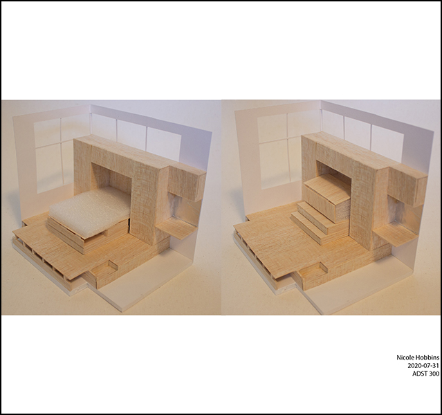 Nicole Hobbins - ADST 306