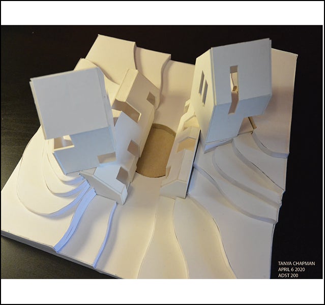 Tanya Chapman - ADST 206