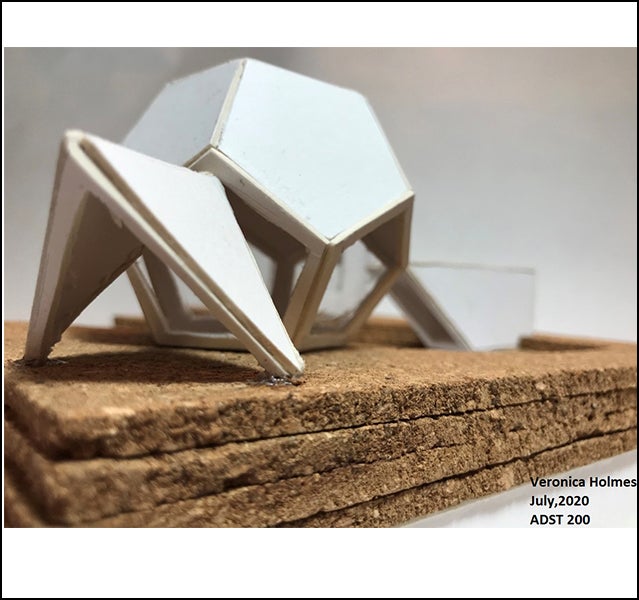 Veronica Holmes - ADST 206