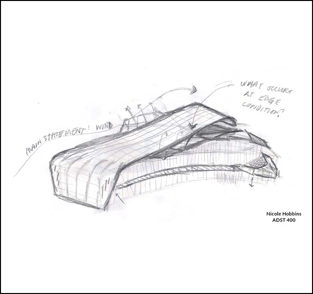 Nicole Hobbins - ADST 400