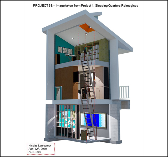 Nicolas Lamoureux - ADST 306